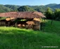 cetatea dacica costesti foto daniel guta