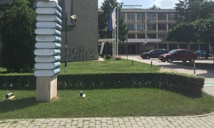Cultura e capitală jpeg