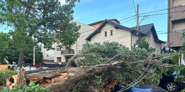 copaci cazuti in bucuresti foto facebook meteoplus png