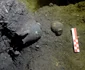 Descoperiri arheologice în peștera Crno Jezero din Croația (© Dubrovački muzeji)