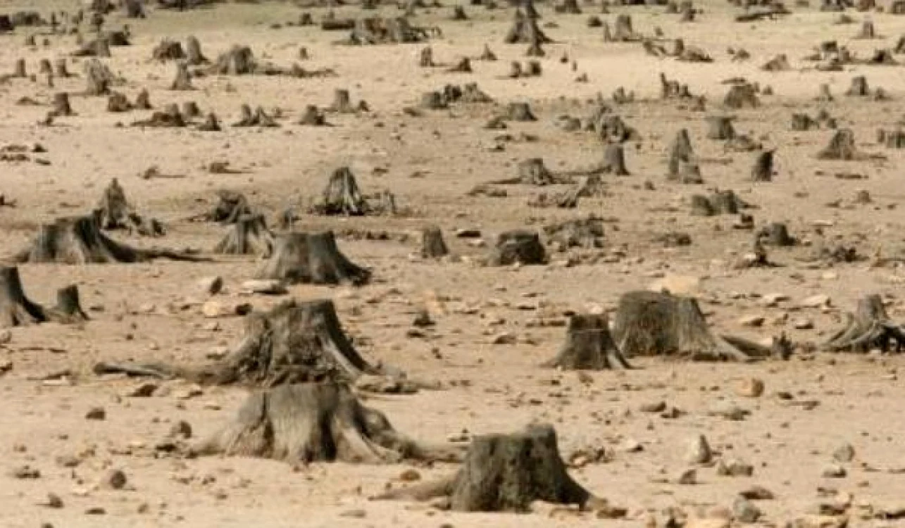 Am declanşat un război cu natura: noi o distrugem fără menajamente, dar nici ea nu stă cu mâinile în sân