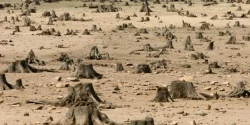 clima