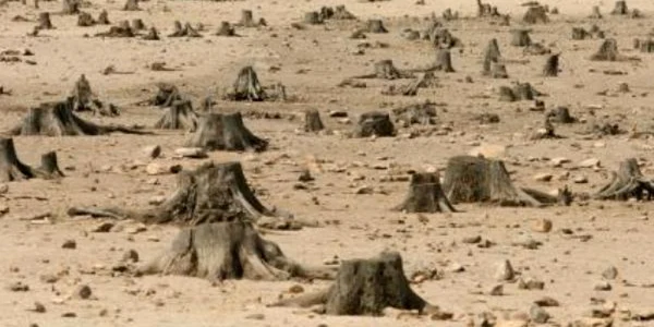 clima