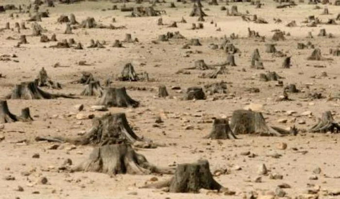 Am declanşat un război cu natura: noi o distrugem fără menajamente, dar nici ea nu stă cu mâinile în sân