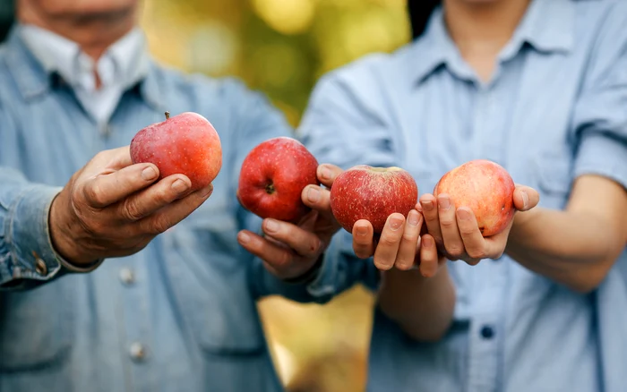 Merele se numără printre cele mai sănătoase alimente. Sursa: Freepik.com