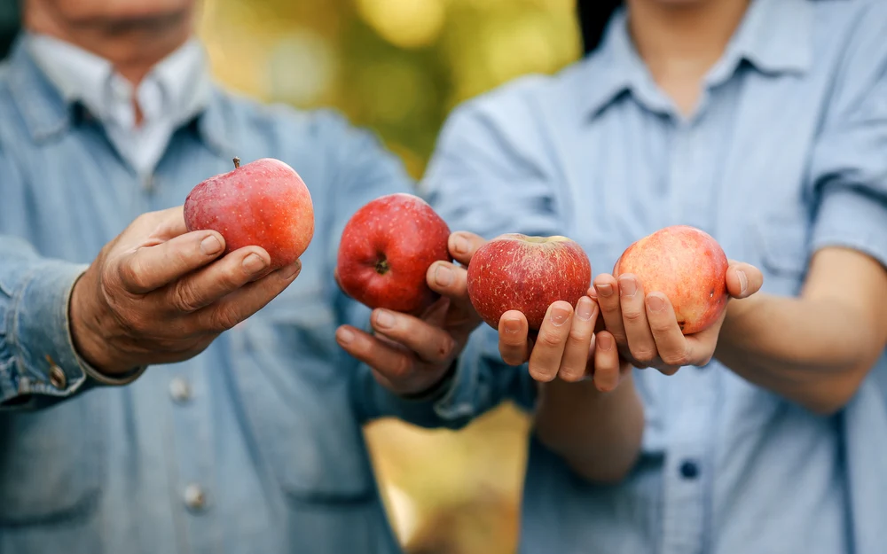 Cât de sănătoase sunt fructele și legumele vândute de români la poarta casei: „Este drept că nu sunt la fel de arătoase”