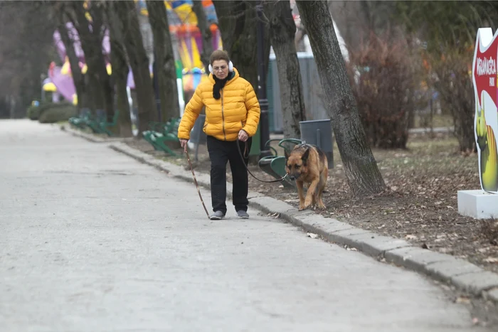 Irina Loghin iese zilnic cu câinele la plimbare