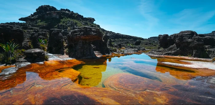 Muntele Roraima / foto: captură video