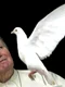 Papa Ioan Paul al II lea jpeg