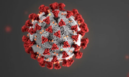 1 home banner jpg jpeg