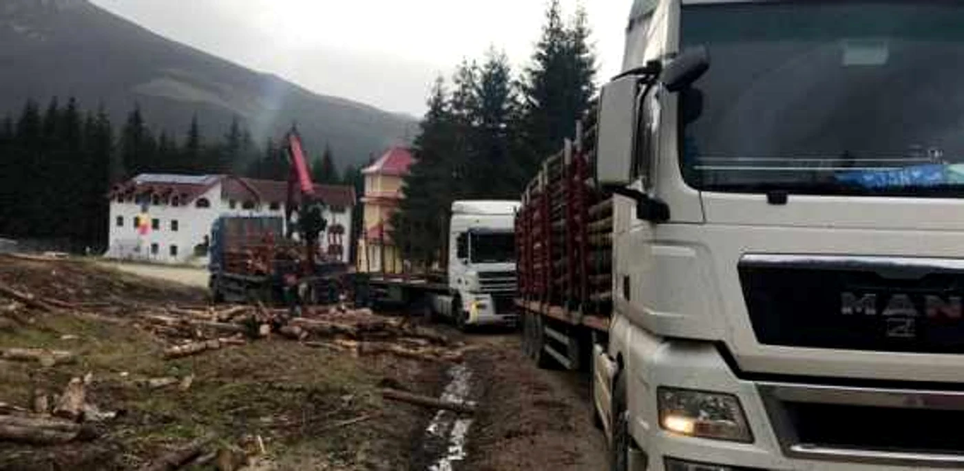 FOTO: DRDP Timişoara.