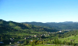 Gemenea 1280x944 1200x885 webp