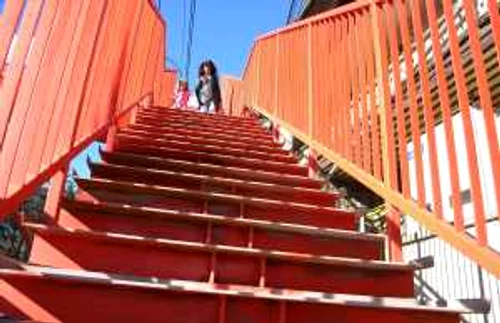 pasarela comarnic