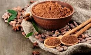 pudra de cacao  jpeg