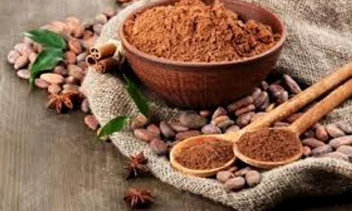 pudra de cacao  jpeg