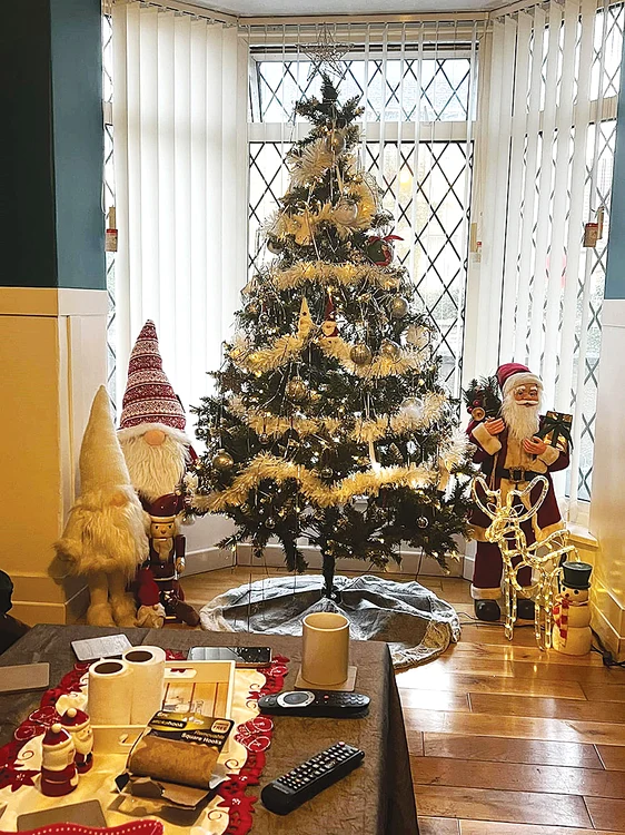 Cassie Needles spune că bradul o face extrem de fericită. SURSĂ FOTO: PROFIMEDIA