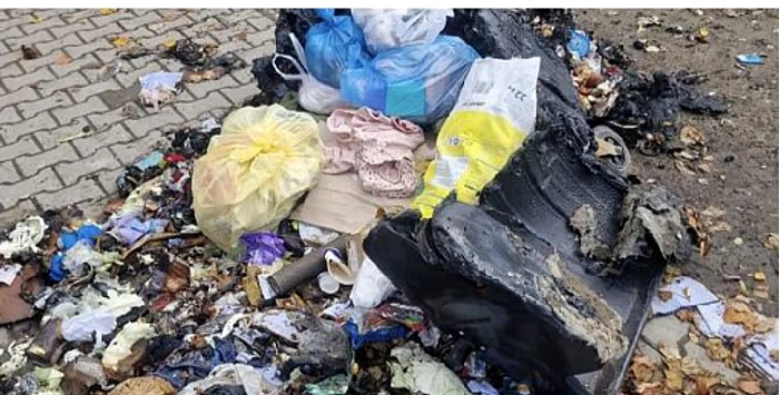 Pubele incendiate FOTO: Ștefan Borcea