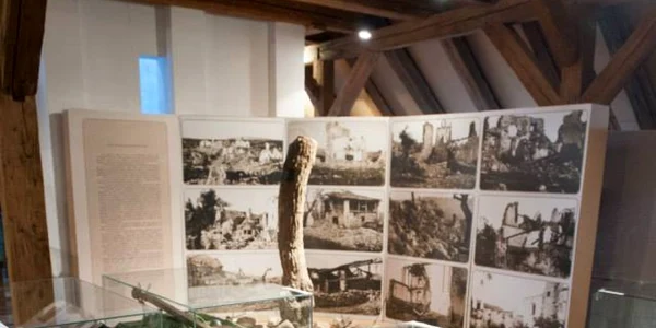 Trunchiul de copac expus la Timişoara