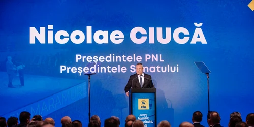 pnl png