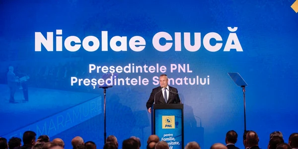 pnl png