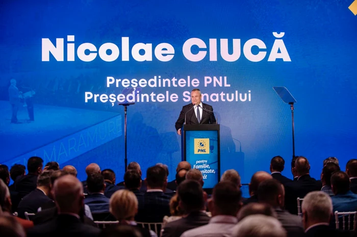 Nicolae Ciucă. FOTO PNL