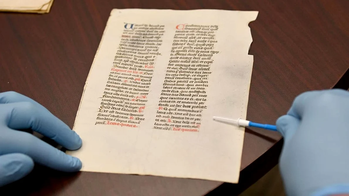 Un cercetător colectează material celular de pe un pergament (© Nash Dunn, NC State University)