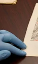 Un cercetător colectează material celular de pe un pergament (© Nash Dunn, NC State University)