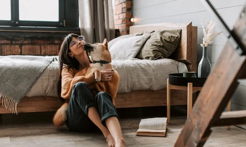 femeie acasa dormitor modern caine 6801920 jpg
