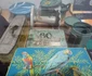 Vechile branduri bănăţene într-o inedită expoziţie