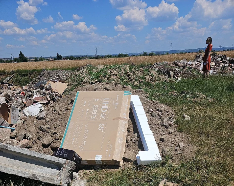 Diana Buzoianu verifică probleme de mediu