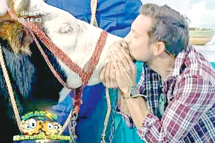 A mâncat iarbă, apoi a pupat în bot animalul (CAPTURĂ: ANTENA 1)