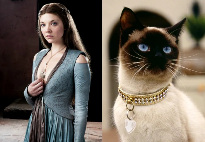 Margaery stylenheat.com