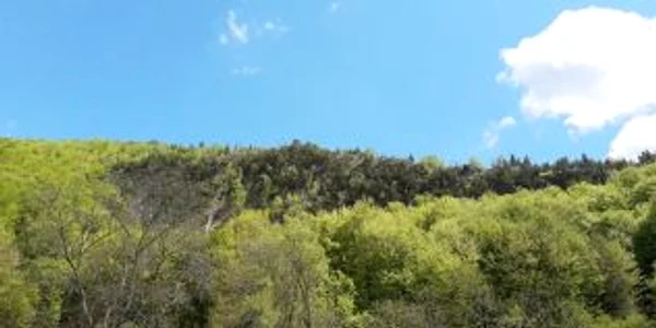 buzau