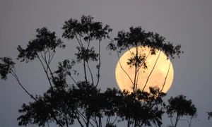 australia 2023912 1280 jpg