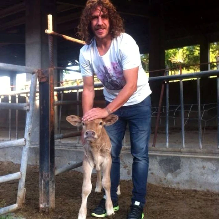 
    Puyol a câştigat şase titluri şi trei Ligi ale Campionilor, dar acum preferă compania viţeilor  