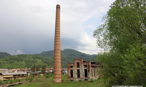 Mina Petrila  Foto Daniel Guță  ADEVĂRUL (41) JPG