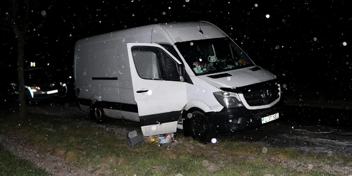 duba romani poliita cehia jpg