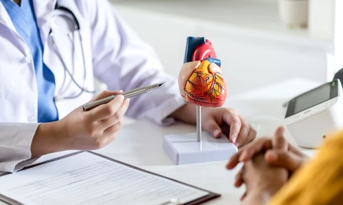 e11516d7ef5bb68ad5f0e4a76cd5546e08 jpg