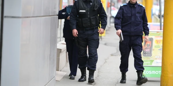 Echipajul de jandarmi era în patrularea când i-a surprins pe hoţi