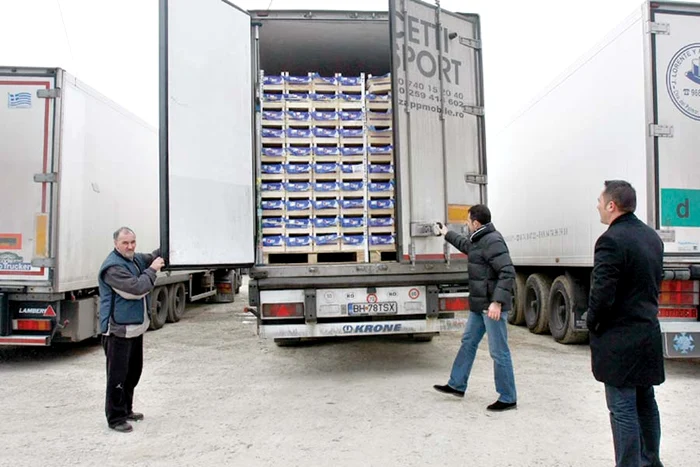 Şase tiruri turceşti  au adus în ţară fructele  cu pesticide. Produsele vor fi distruse