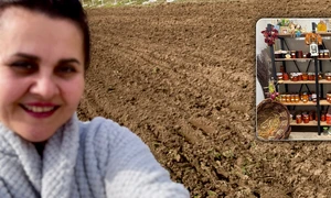 banner Niculina Stoican jpg