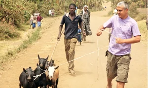 CLIIMA20100128 0227 1 jpeg