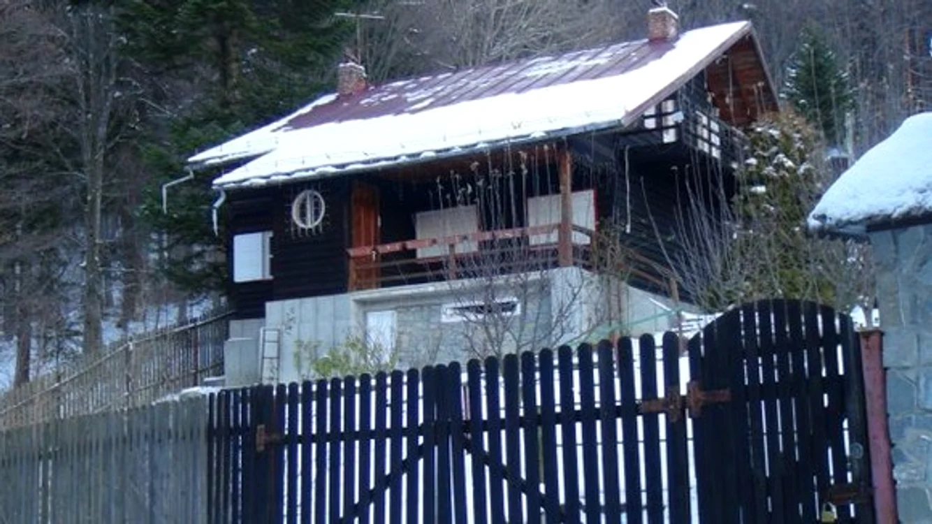 Casa de la Sinaia a lui Alexandru Arșinel