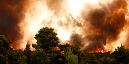 incendii in grecia. foto epa-efe