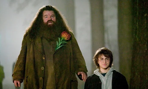 4 hagrid bacc222b 3f46 4e7a af3e b277f3e67208 jpg jpeg