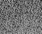 Un post TV din Suedia i a convins pe telespectatori că o pereche de şosete poate colora imaginile televizorului jpeg