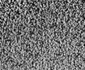 Un post TV din Suedia i a convins pe telespectatori că o pereche de şosete poate colora imaginile televizorului jpeg