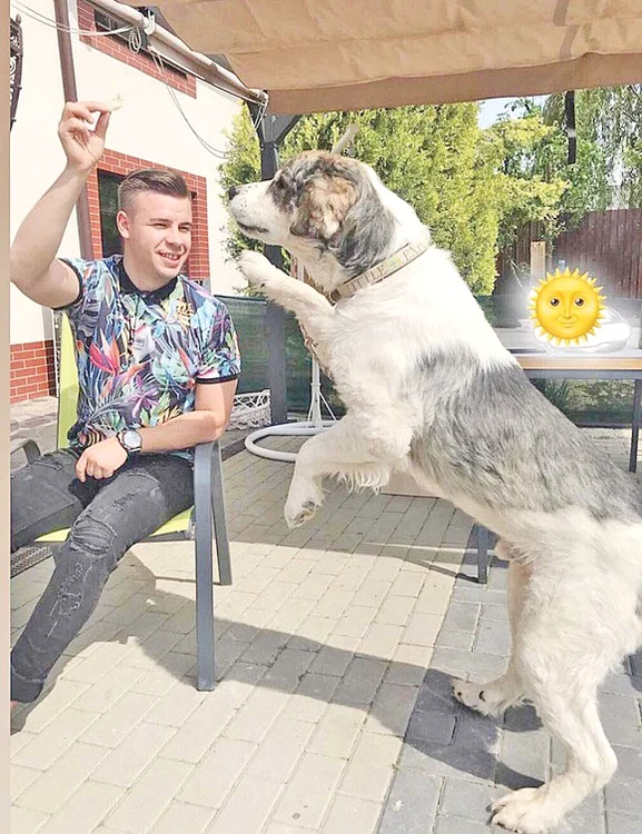 Sunny, animăluţul  care s-a vindecat  miraculos