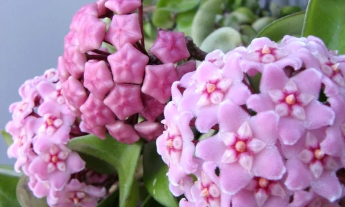 1 69716 original jpg jpeg