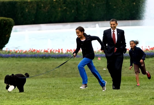  bo caine barack obama. foto gettyimages